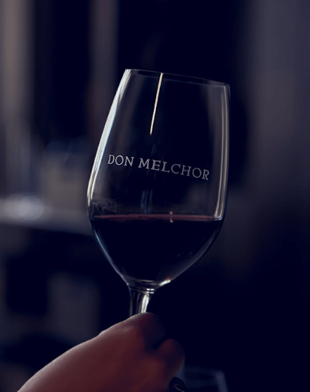 Don Melchor el único vino chileno en importante&nbsp;ranking.