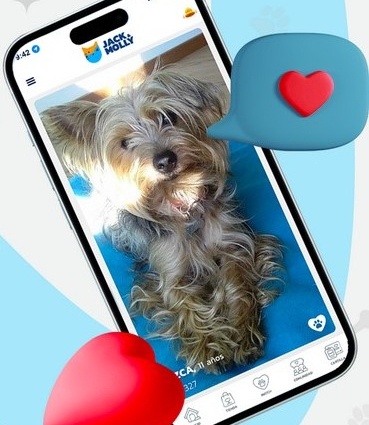 Jack & Molly, la nueva app para&nbsp;petlovers.