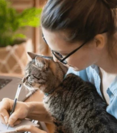 Cuidados adecuados para tu&nbsp;gato.