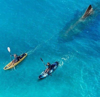 ¡Filmelier+ estrena una nueva serie y&nbsp;películas!.